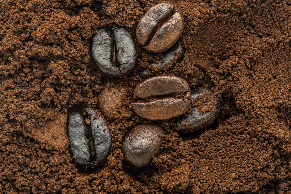 Café Brasileiro em alta